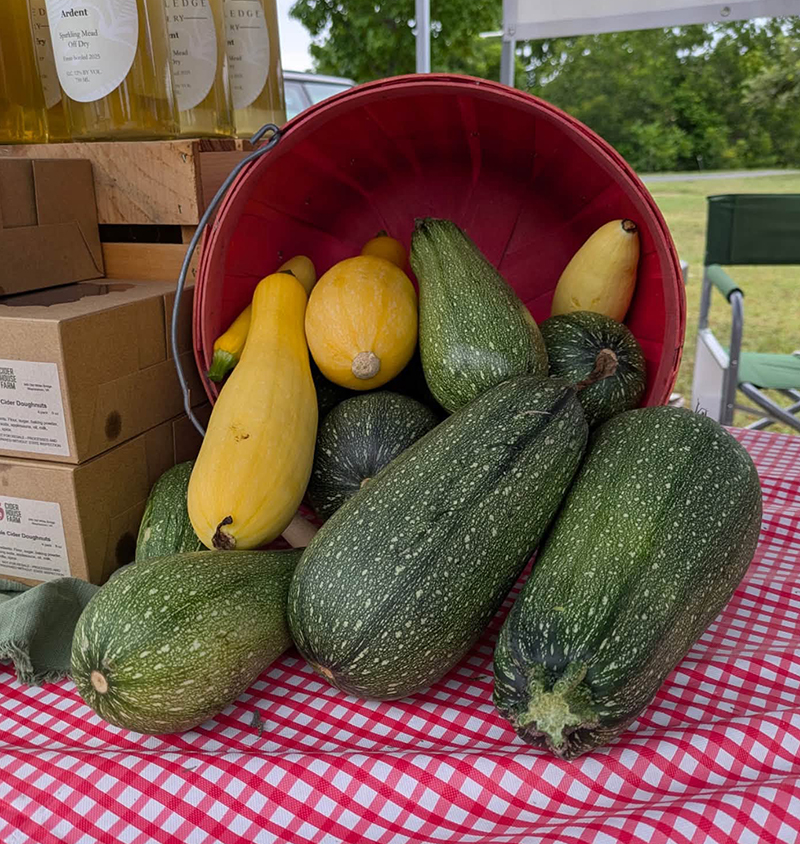 Farm fresh zucchini from Stone Ledge Farm Farm fresh zucchini from Stone Ledge Farm
