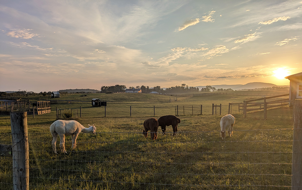 Stone Ledge Farm nearing sunset